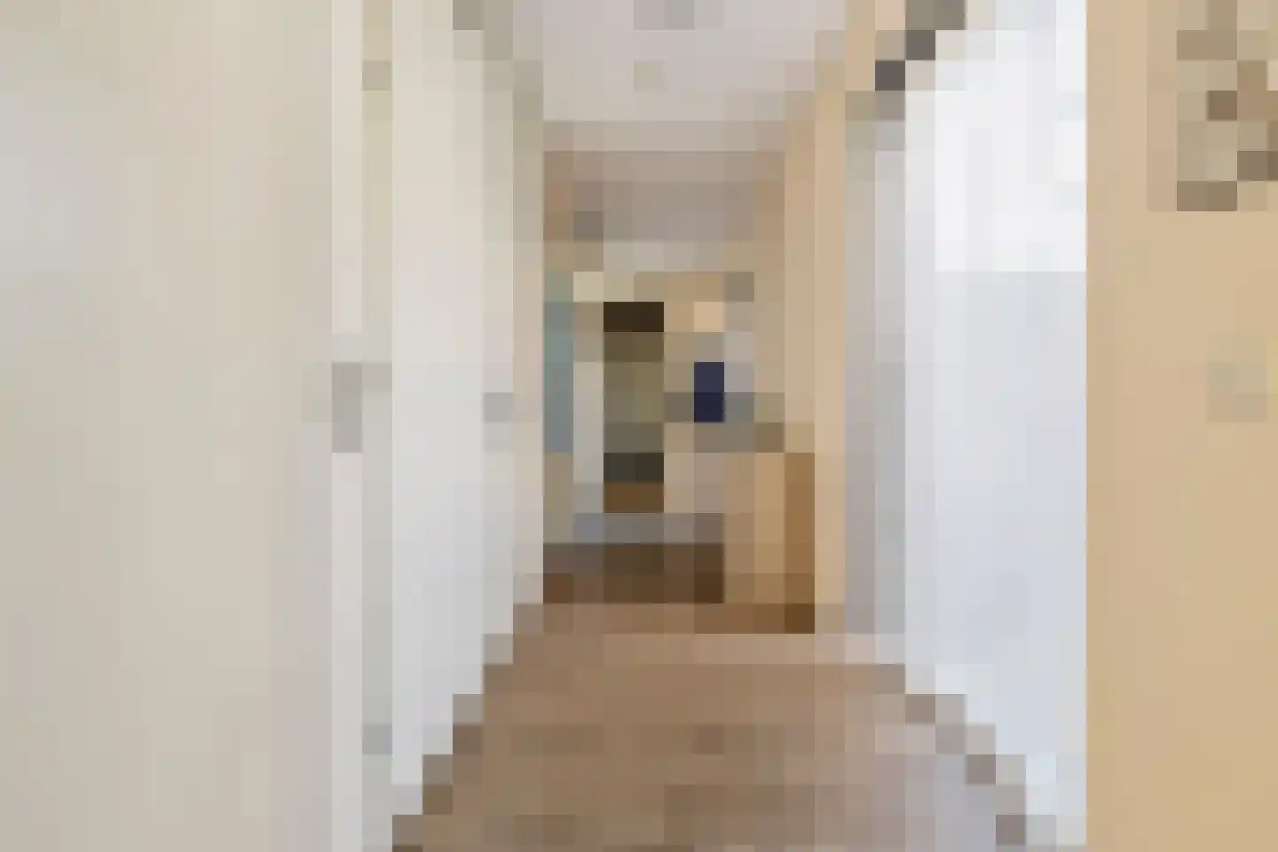 De Zaayer 42 Groningen thumbnail 25