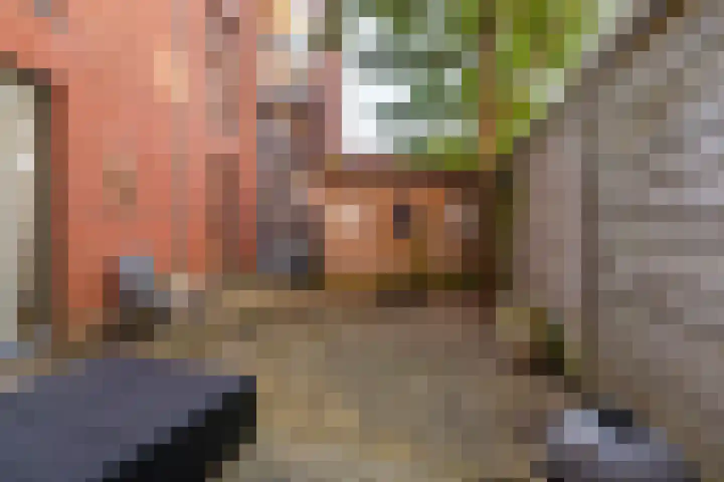 De Zaayer 42 Groningen thumbnail 32