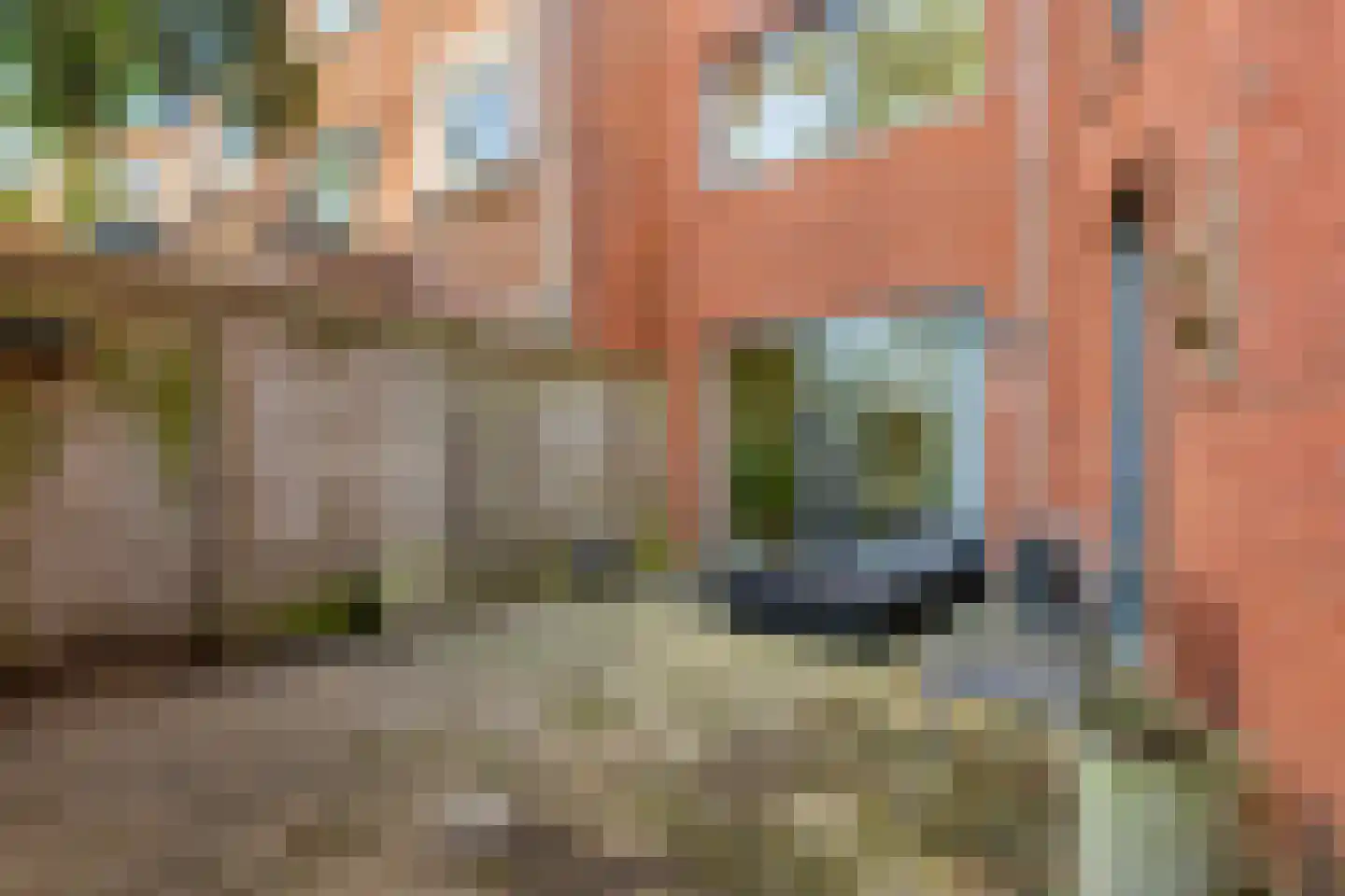 De Zaayer 42 Groningen thumbnail 34