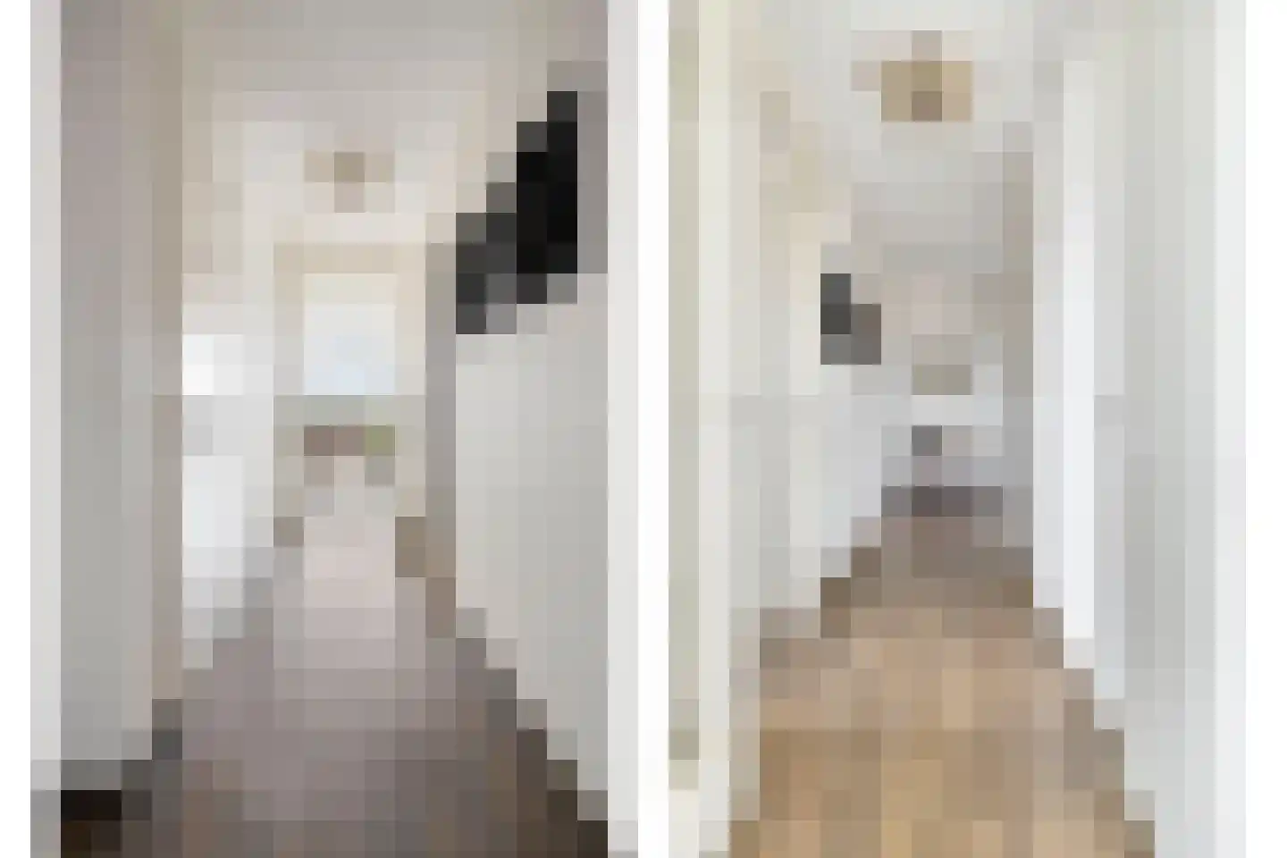 De Zaete 10 Yerseke thumbnail 16