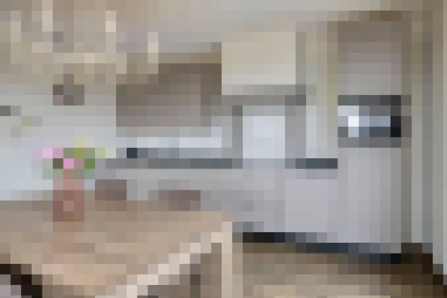 De Zaete 10 Yerseke thumbnail 25