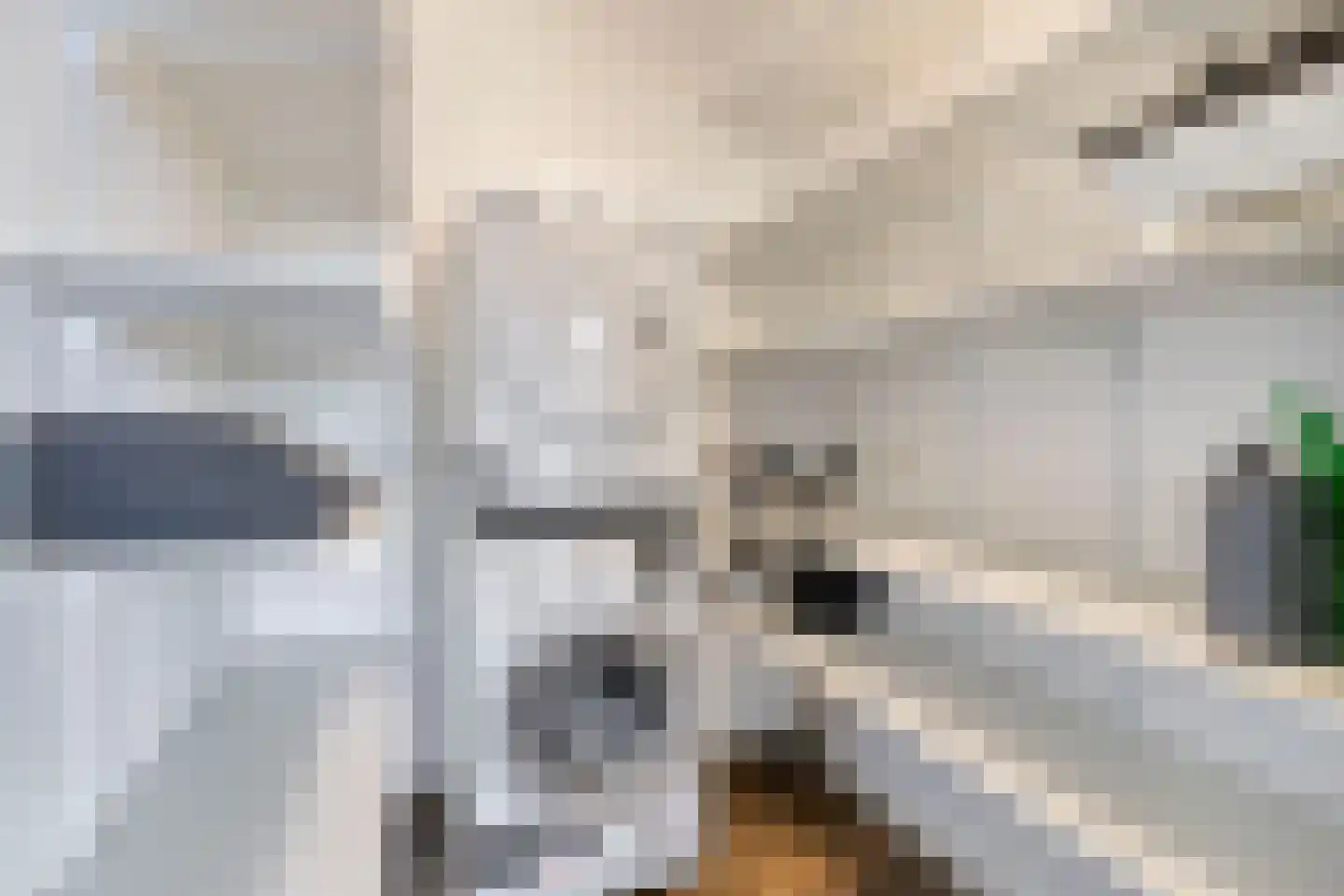 De Zaete 10 Yerseke thumbnail 33