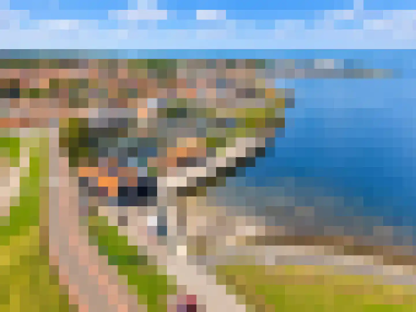 De Zaete 10 Yerseke thumbnail 52