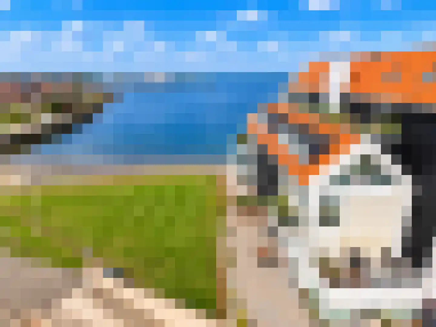 De Zaete 10 Yerseke thumbnail 54