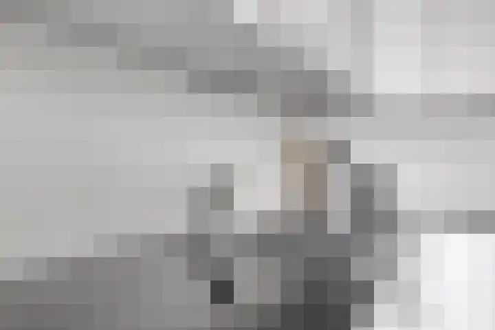 De Zaete 12 Yerseke thumbnail 15