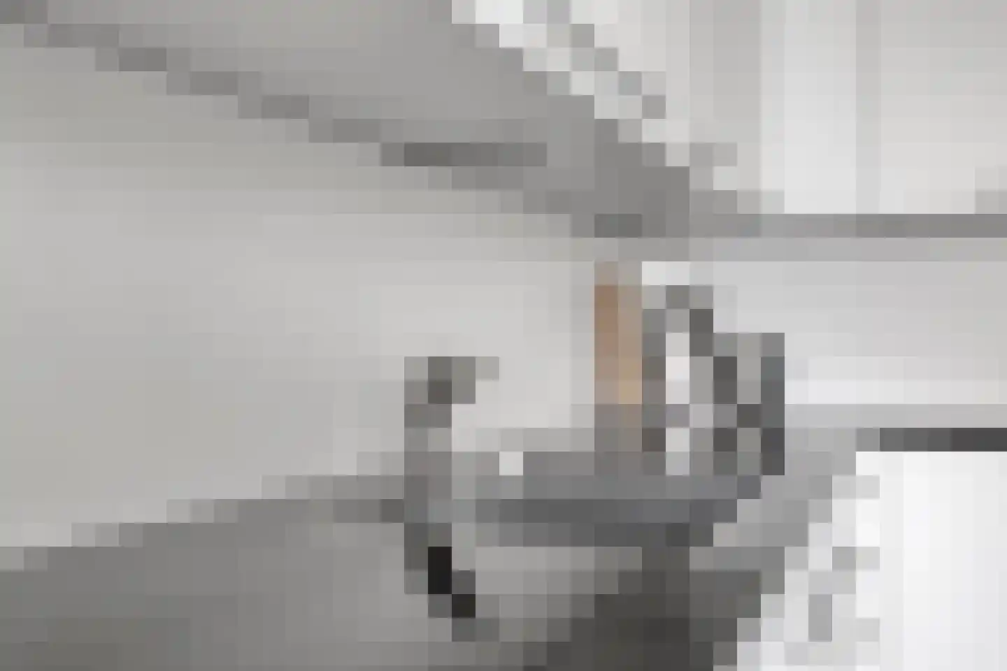De Zaete 12 Yerseke thumbnail 15