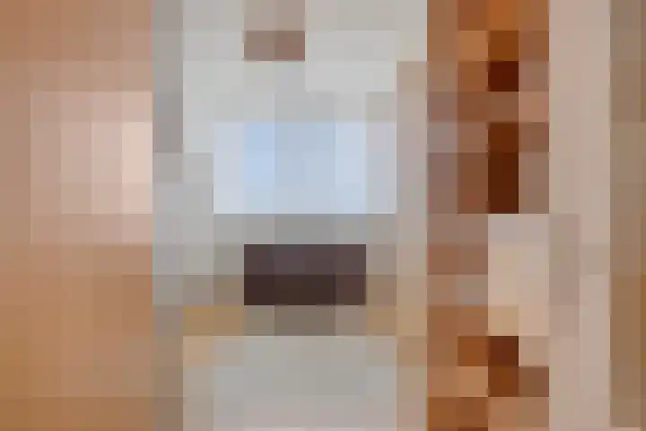 De Zaete 12 Yerseke thumbnail 25