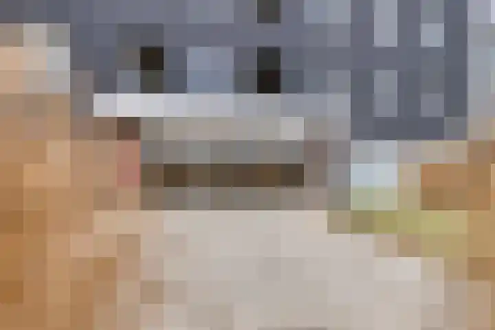 De Zaete 12 Yerseke thumbnail 33