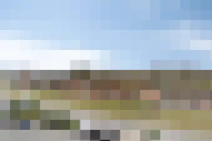 De Zaete 12 Yerseke thumbnail 5