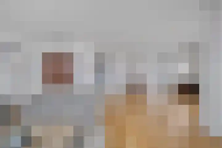 De Zaete 12 Yerseke thumbnail 8
