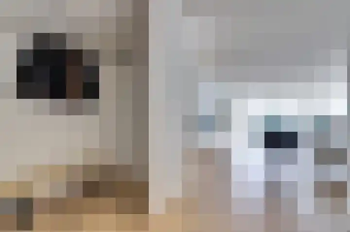 De Zaete 28 Yerseke thumbnail 12