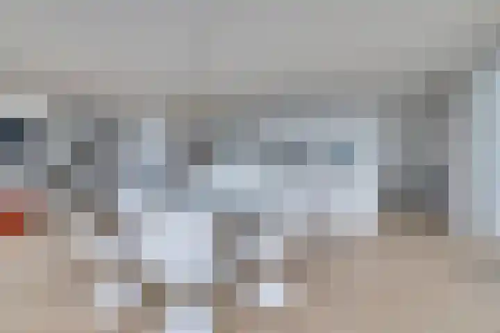 De Zaete 28 Yerseke thumbnail 27