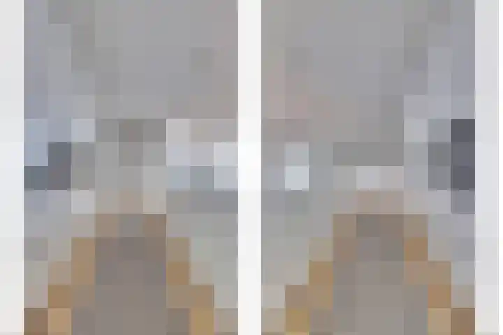 De Zaete 28 Yerseke thumbnail 30