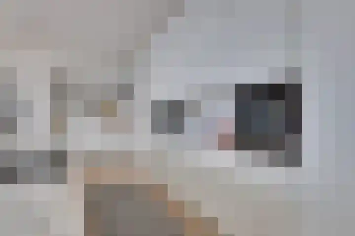 De Zaete 28 Yerseke thumbnail 31