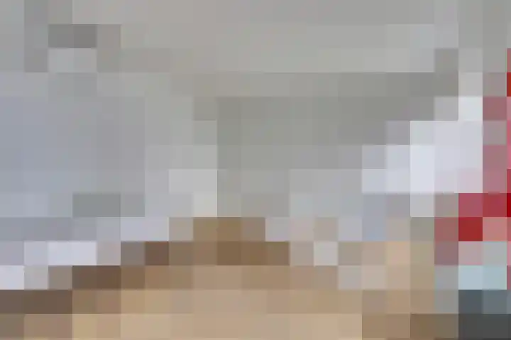 De Zaete 28 Yerseke thumbnail 40