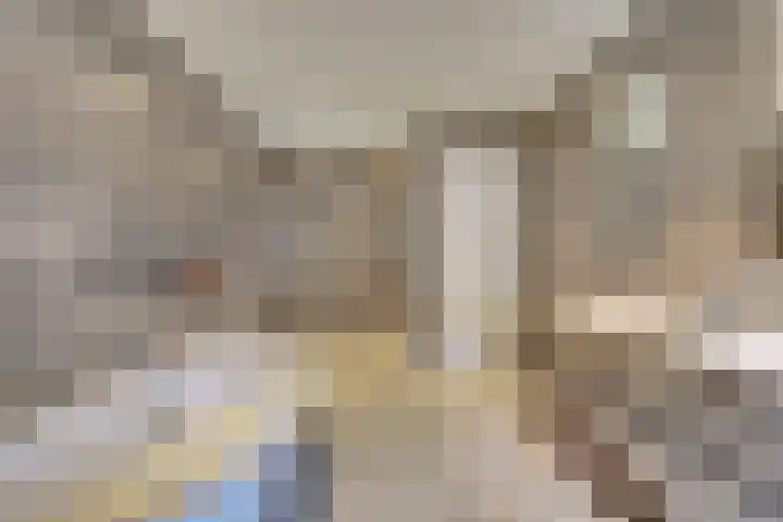 De Zaete 28 Yerseke thumbnail 42