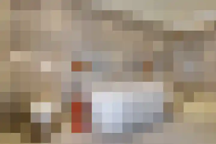 De Zaete 28 Yerseke thumbnail 43