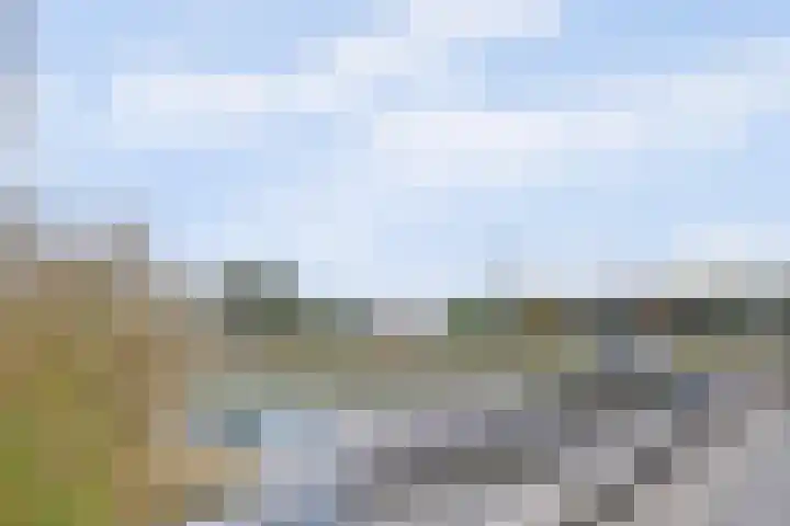 De Zaete 28 Yerseke thumbnail 53