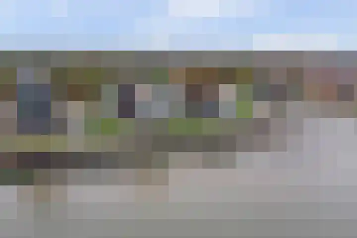 De Zaete 28 Yerseke thumbnail 63