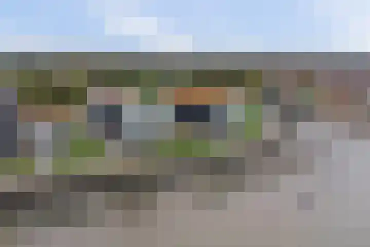 De Zaete 28 Yerseke thumbnail 64
