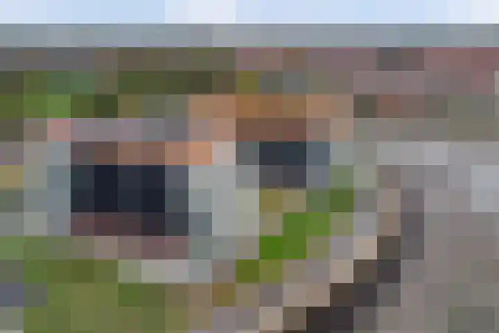 De Zaete 28 Yerseke thumbnail 65
