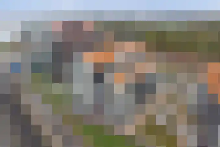 De Zaete 28 Yerseke thumbnail 66