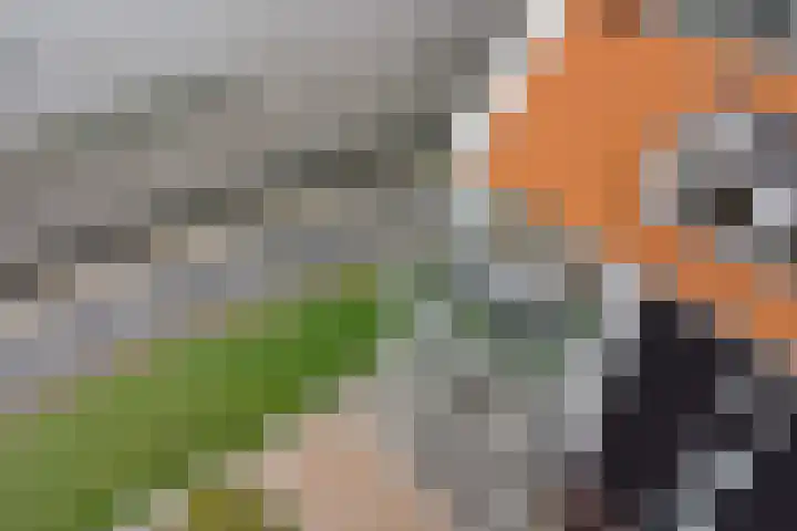De Zaete 28 Yerseke thumbnail 68