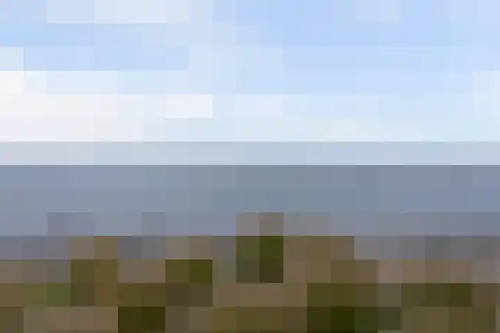 De Zaete 28 Yerseke thumbnail 69