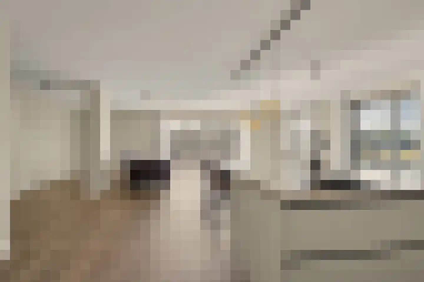 De Zaete 39 Yerseke thumbnail 16