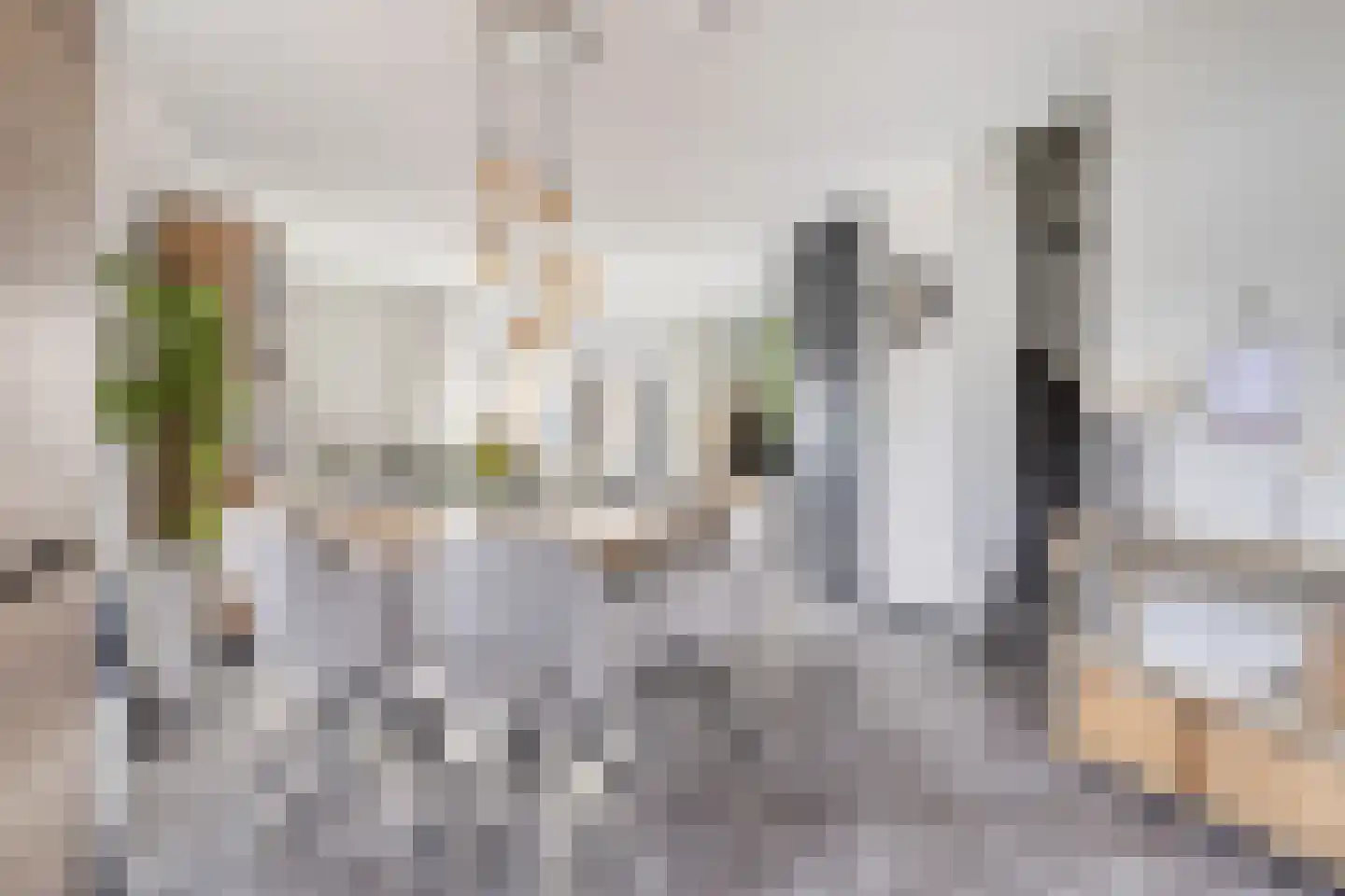 De Zaling 1 Dronten thumbnail 10