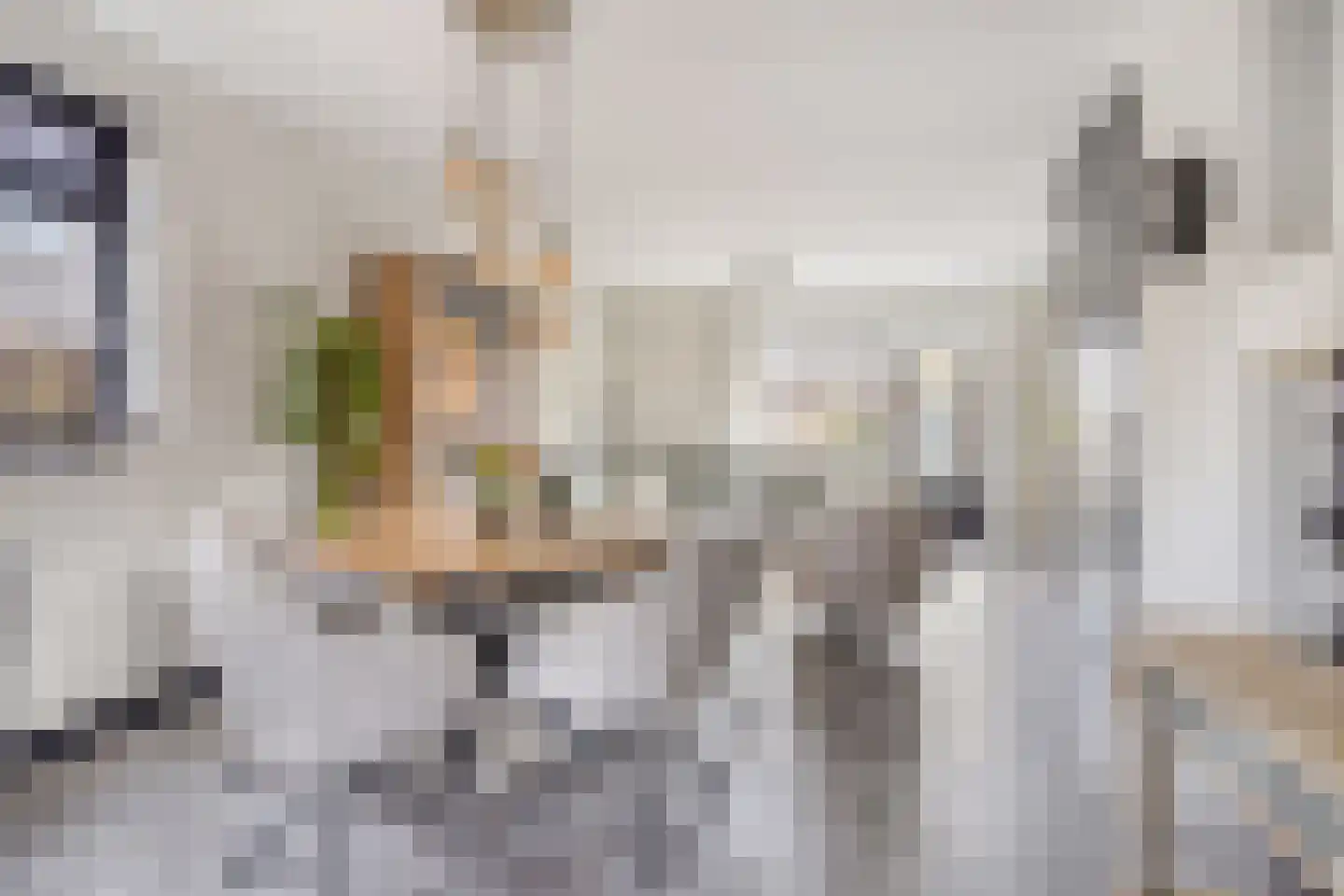 De Zaling 1 Dronten thumbnail 11
