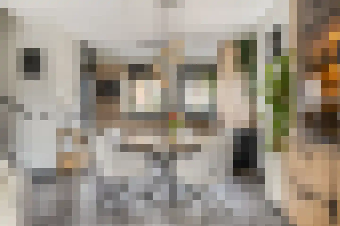De Zaling 1 Dronten thumbnail 12