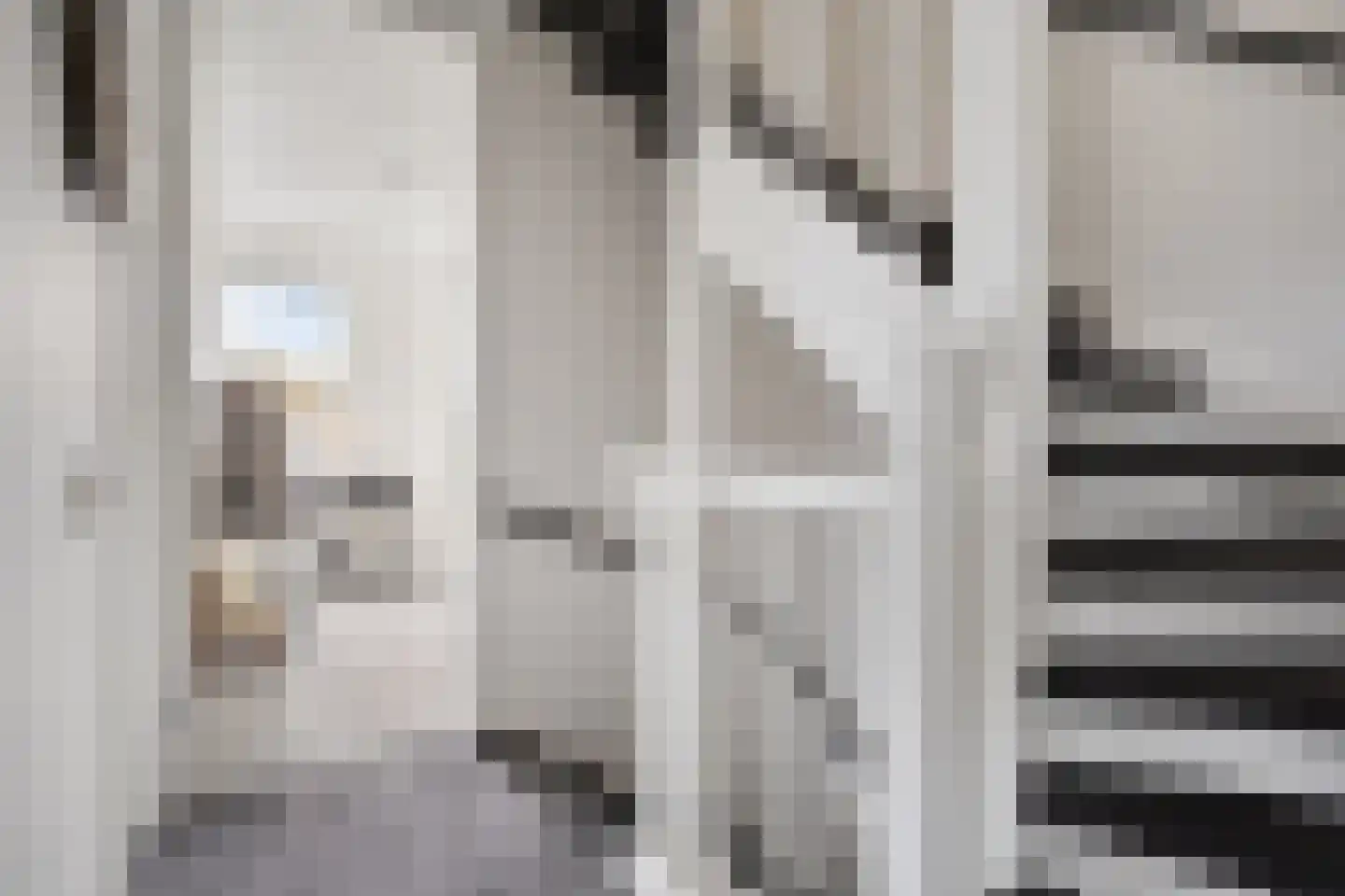 De Zaling 1 Dronten thumbnail 16