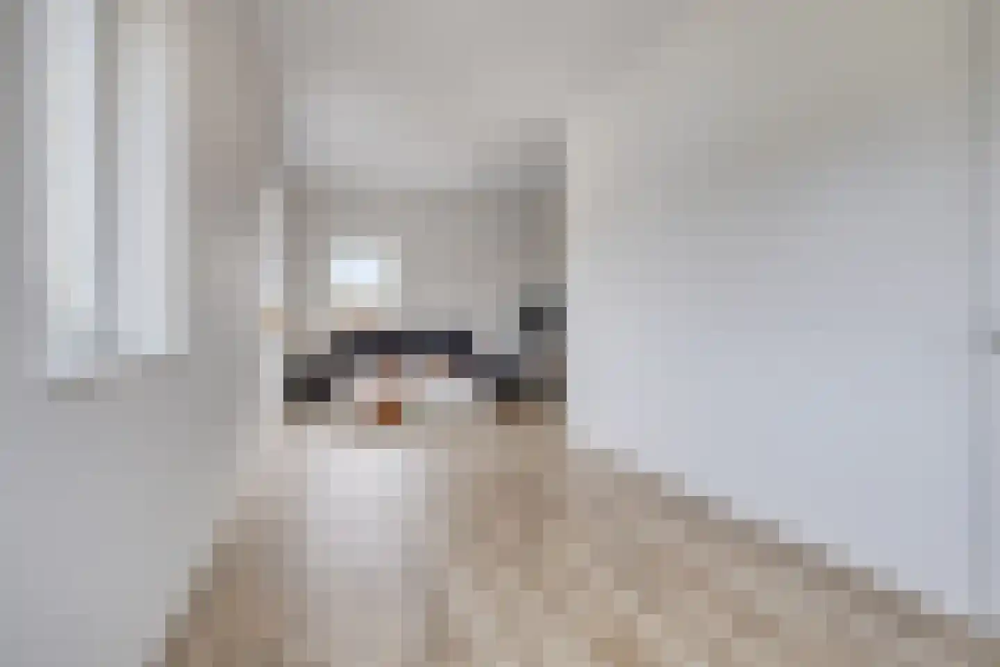 De Zaling 1 Dronten thumbnail 30