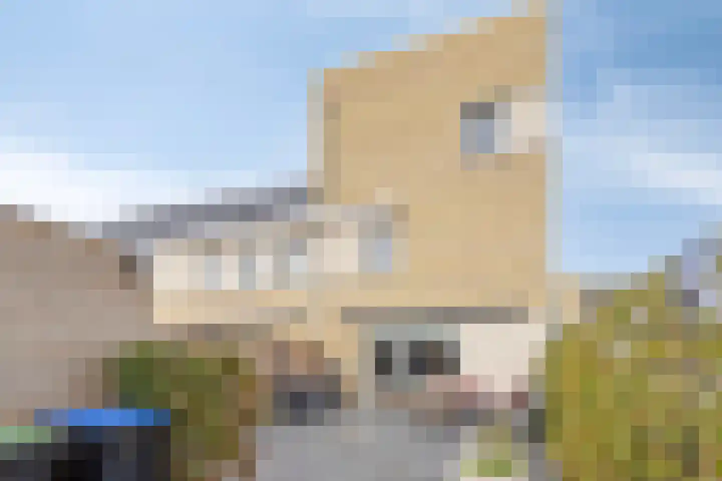 De Zaling 1 Dronten thumbnail 32