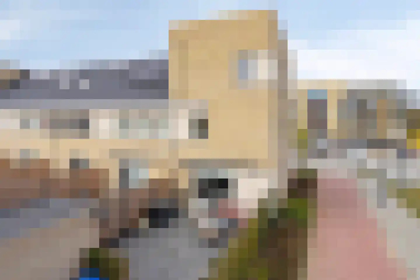 De Zaling 1 Dronten thumbnail 33