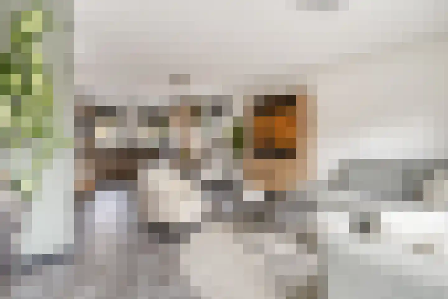 De Zaling 1 Dronten thumbnail 9