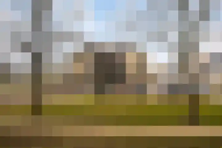De Zaling 18 Dronten thumbnail 31