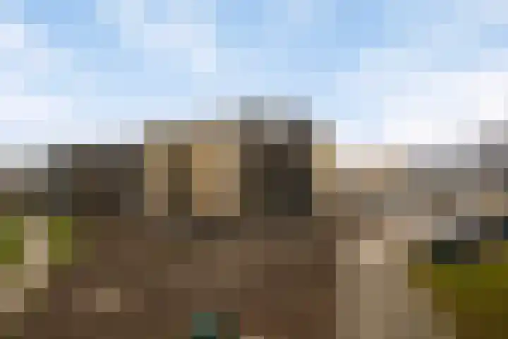 De Zaling 18 Dronten thumbnail 33