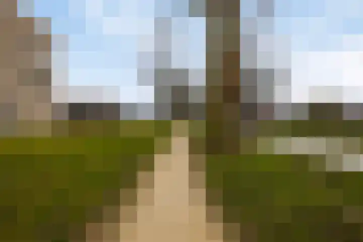 De Zaling 18 Dronten thumbnail 35