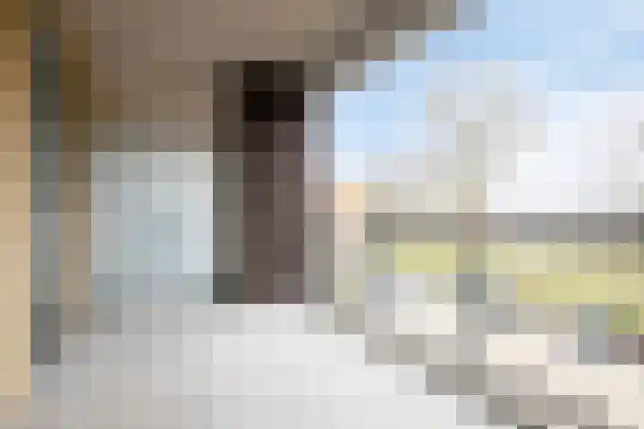De Zaling 18 Dronten thumbnail 4