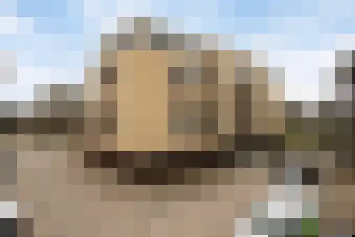 De Zaling 18 Dronten thumbnail 5