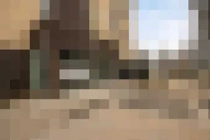 De Zaling 18 Dronten thumbnail 6