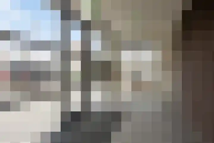 De Zaling 18 Dronten thumbnail 7