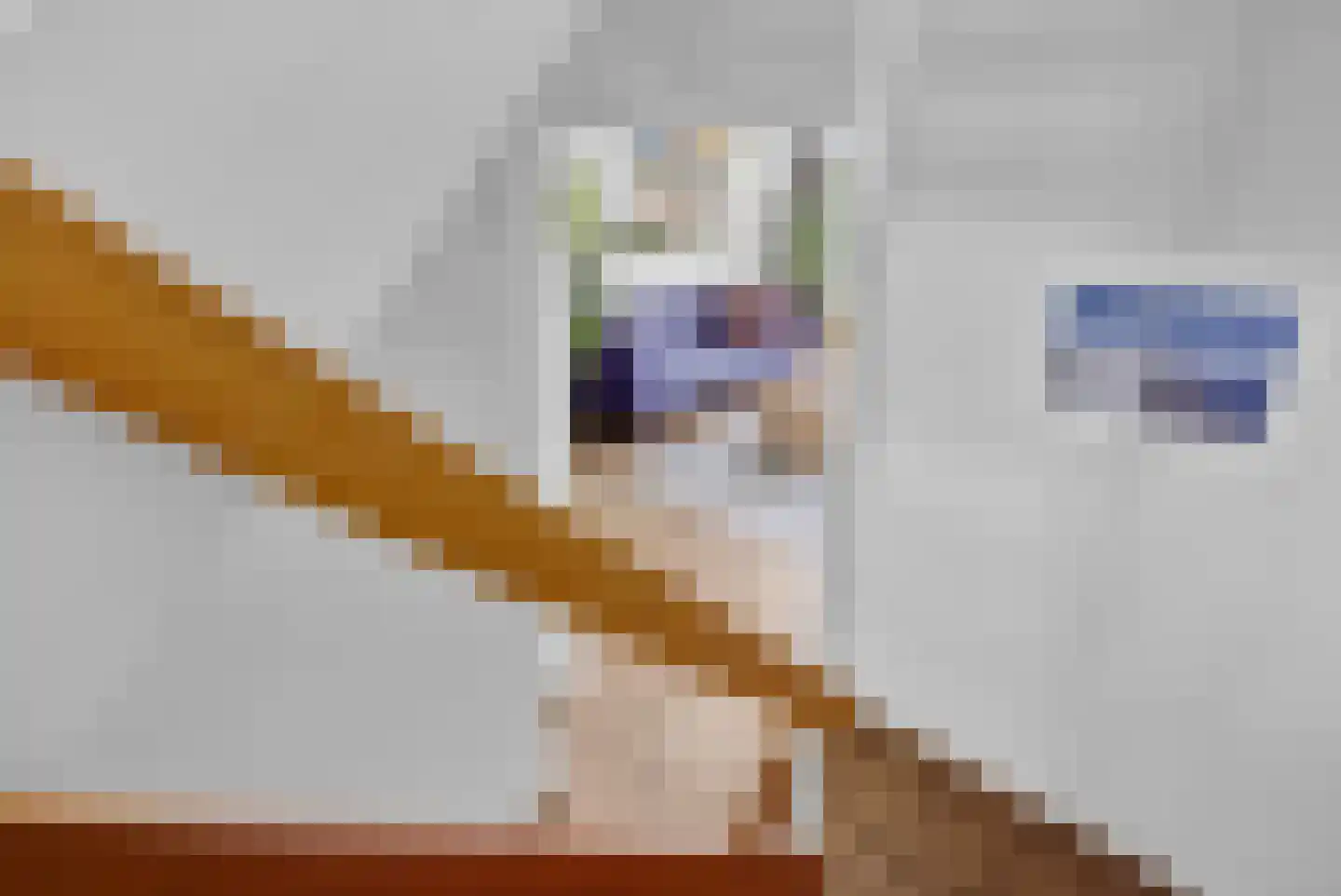 De Zalm 33 Makkum thumbnail 21