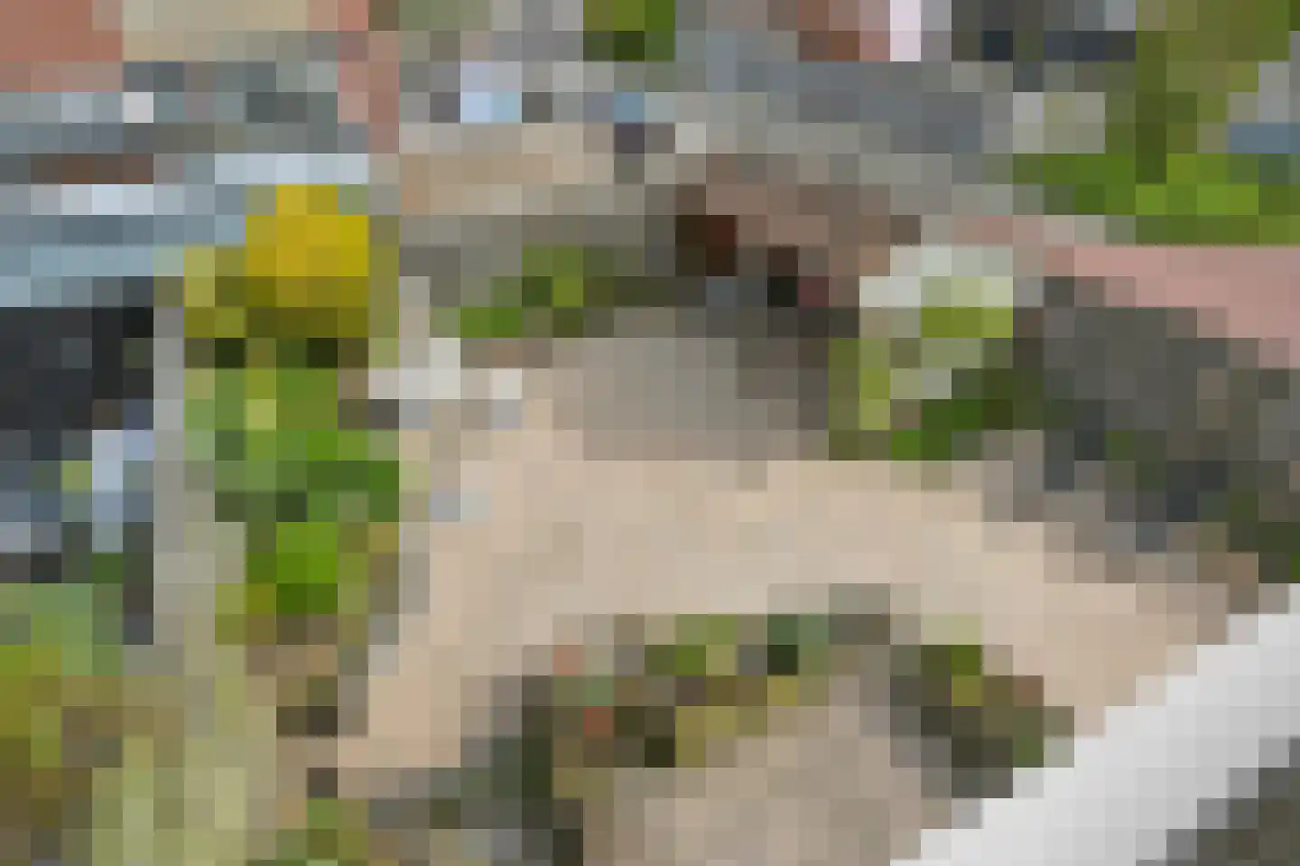 De Zalm 33 Makkum thumbnail 25