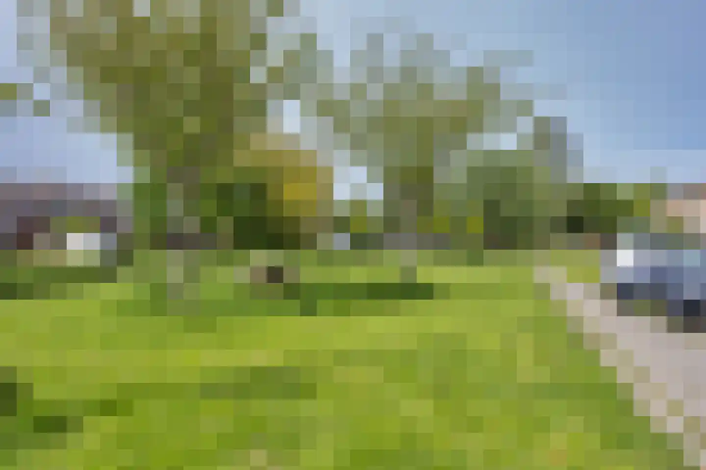 De Zalm 33 Makkum thumbnail 46