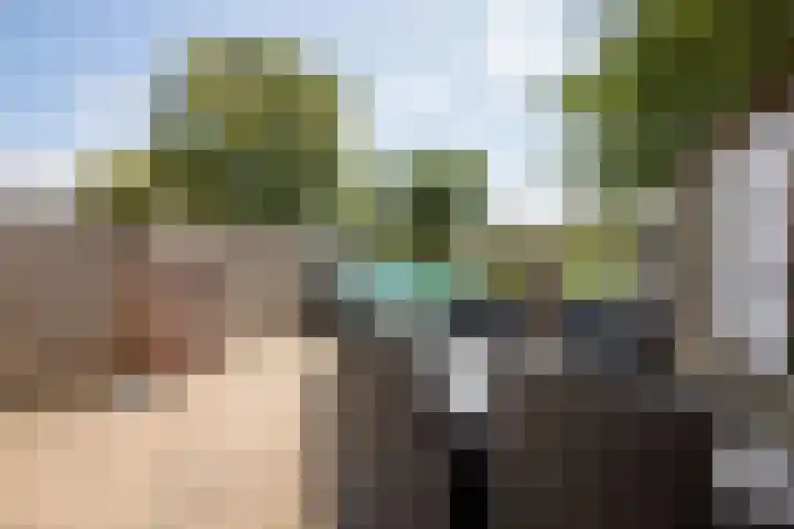 De Zalm 47 Makkum thumbnail 12