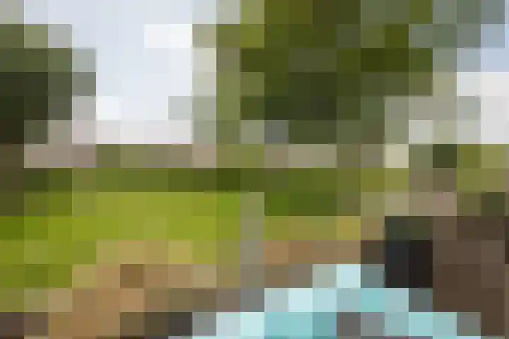 De Zalm 47 Makkum thumbnail 13