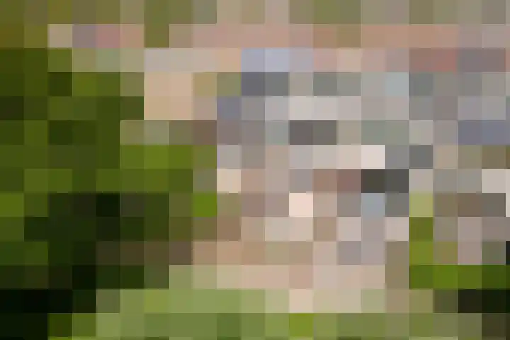 De Zalm 47 Makkum thumbnail 14
